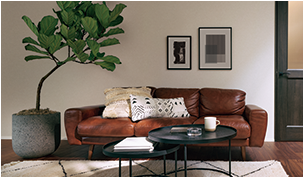 ブリージアつくば陣場（未入居）